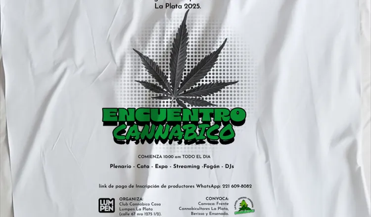 imagen del articulo