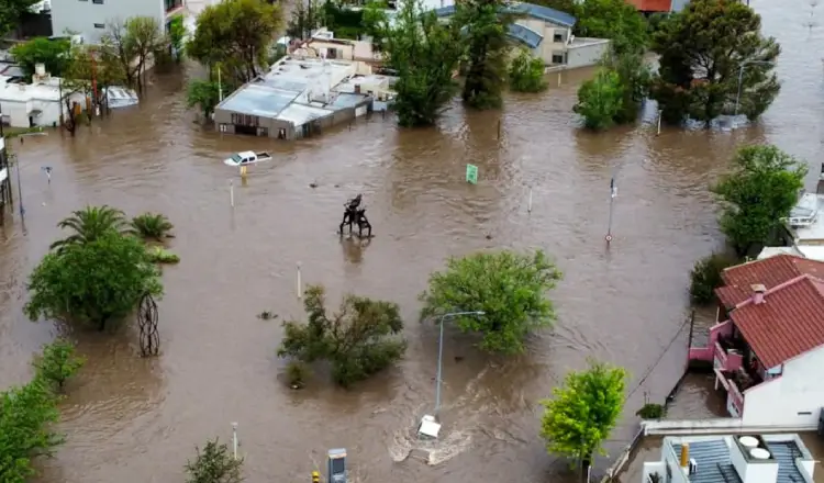 imagen del articulo