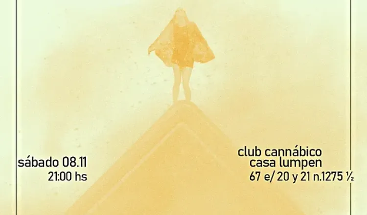 imagen del articulo