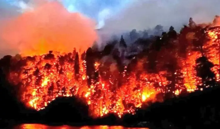 imagen del articulo