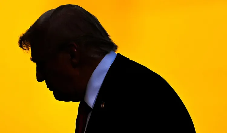 imagen del articulo