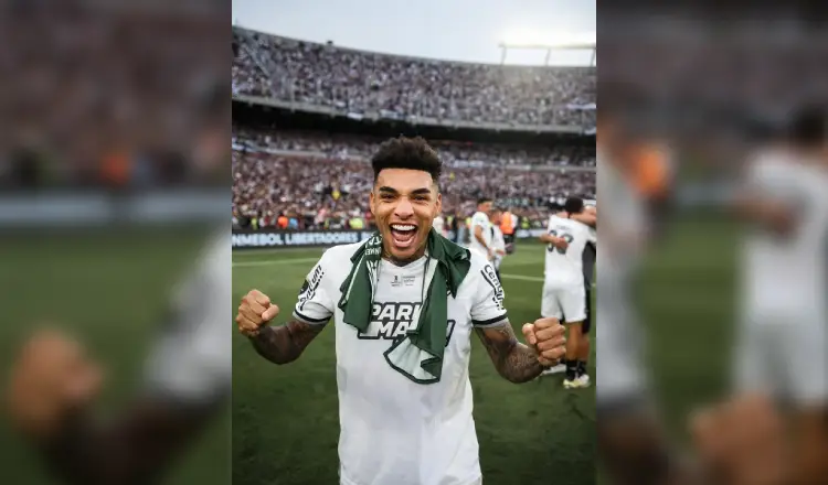 imagen del articulo