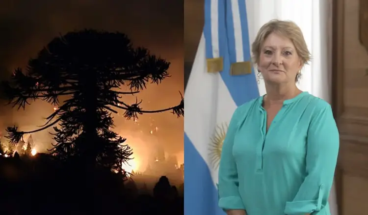 imagen del articulo